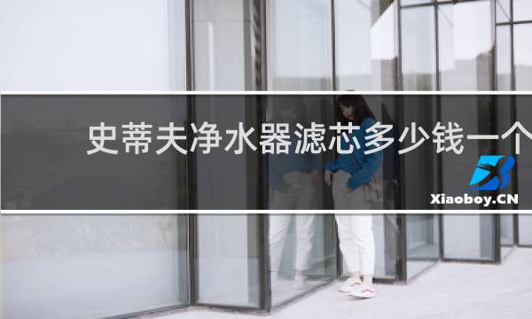 史蒂夫净水器滤芯多少钱一个