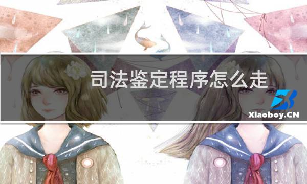 司法鉴定程序怎么走