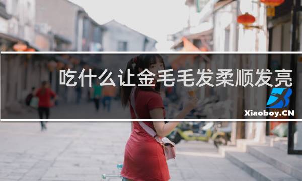 吃什么让金毛毛发柔顺发亮