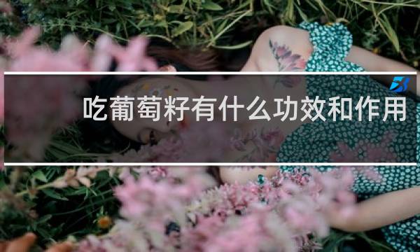 吃葡萄籽有什么功效和作用