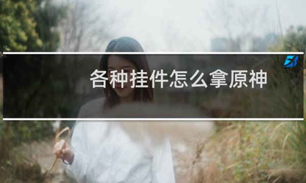各种挂件怎么拿原神