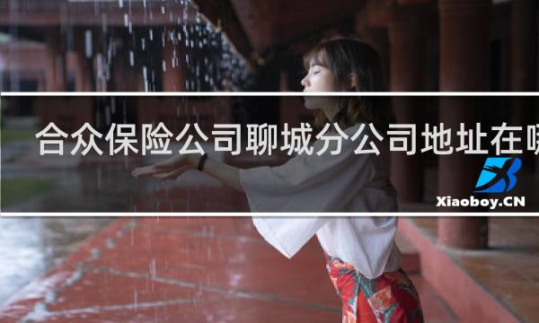合众保险公司聊城分公司地址在哪里