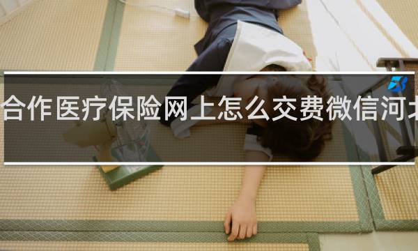 合作医疗保险网上怎么交费微信河北税务