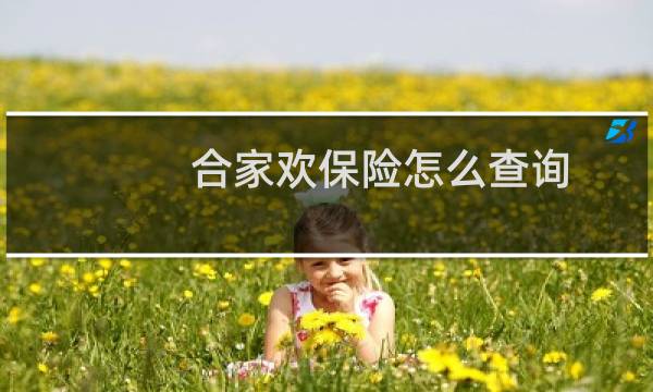 合家欢保险怎么查询
