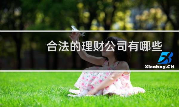 合法的理财公司有哪些