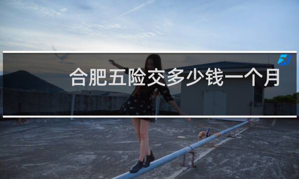 合肥五险交多少钱一个月