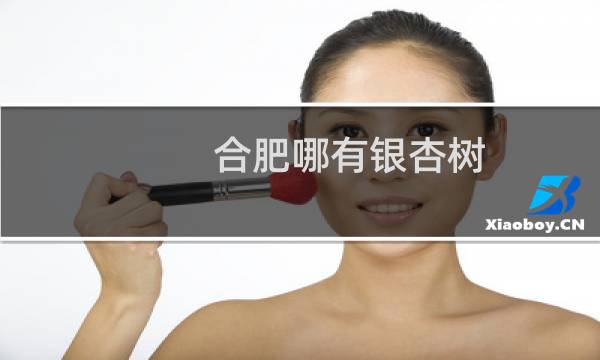 合肥哪有银杏树