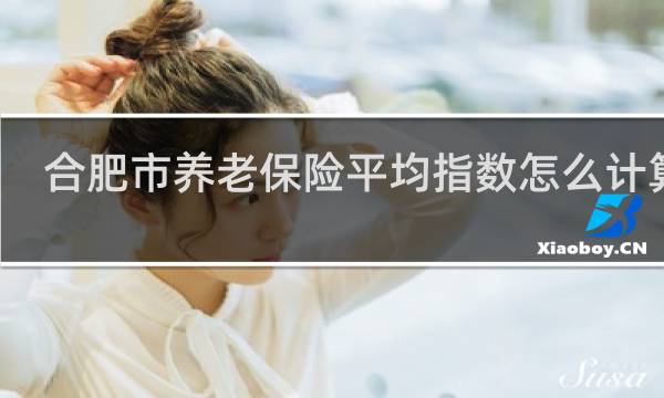 合肥市养老保险平均指数怎么计算的
