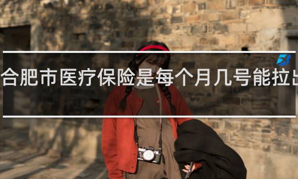 合肥市医疗保险是每个月几号能拉出明细