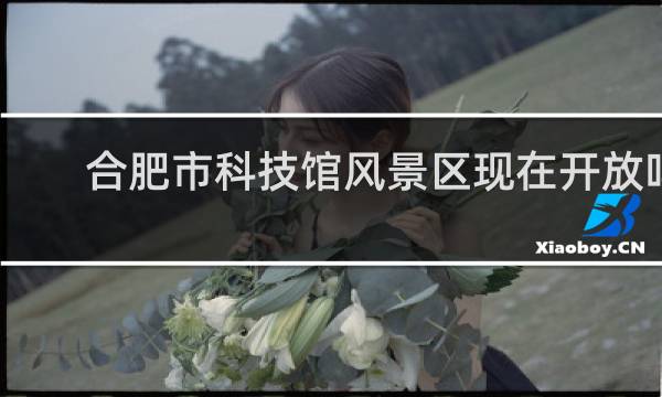 合肥市科技馆风景区现在开放吗