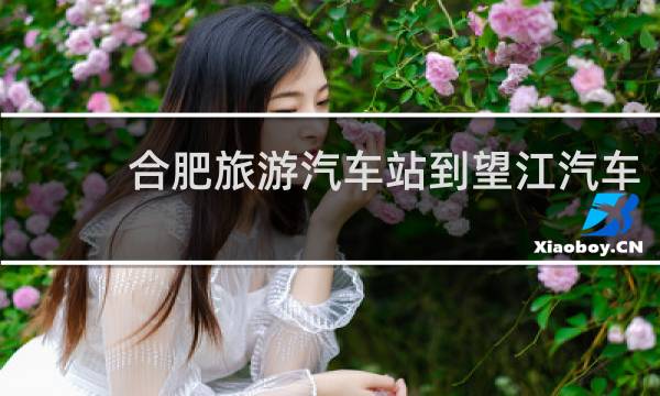 合肥旅游汽车站到望江汽车
