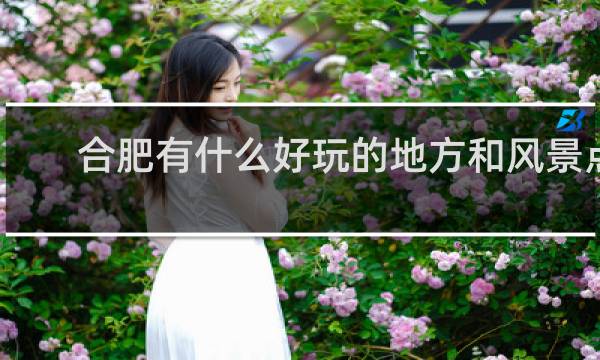 合肥有什么好玩的地方和风景点