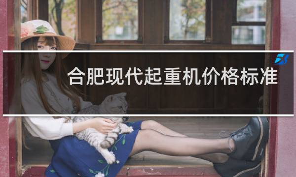 合肥现代起重机价格标准