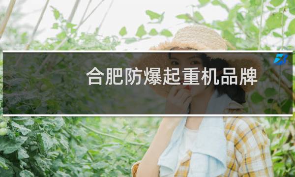 合肥防爆起重机品牌