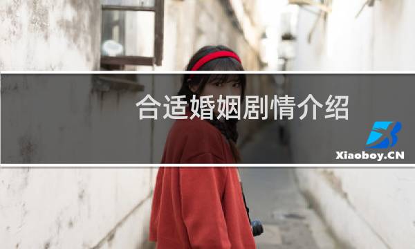 合适婚姻剧情介绍