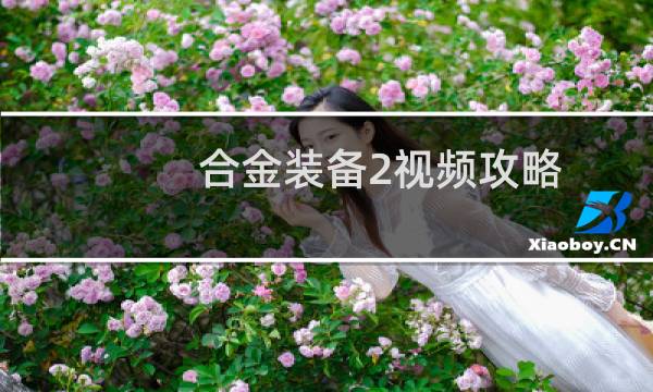 合金装备2视频攻略