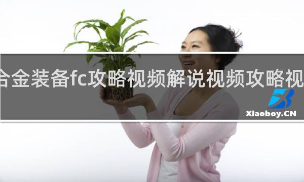 合金装备fc攻略视频解说视频攻略视频攻略