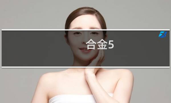合金5 攻略