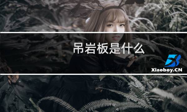 吊岩板是什么