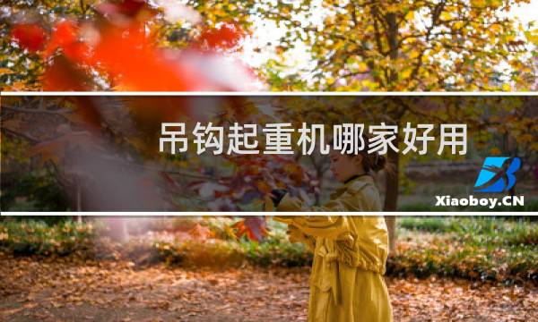 吊钩起重机哪家好用