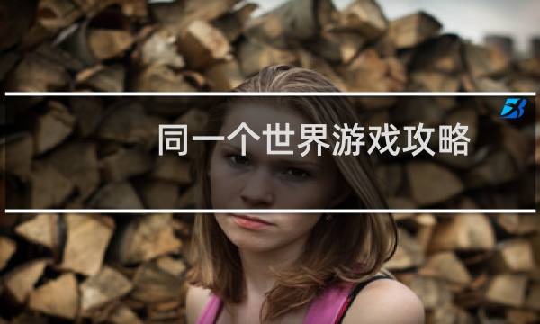 同一个世界游戏攻略