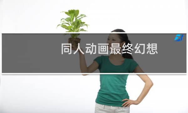 同人动画最终幻想