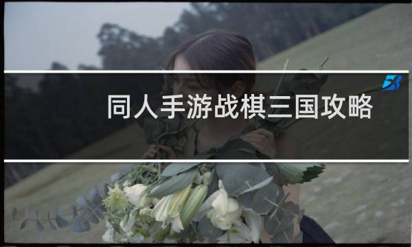 同人手游战棋三国攻略