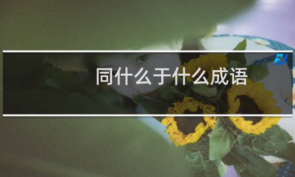 同什么于什么成语