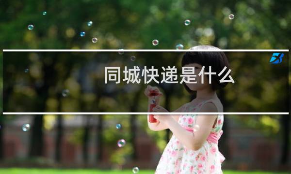 同城快递是什么