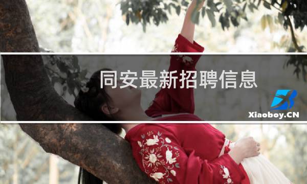 同安最新招聘信息