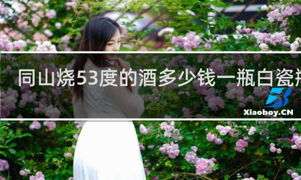 同山烧53度的酒多少钱一瓶白瓷瓶的
