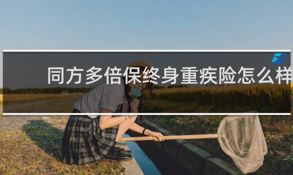 同方多倍保终身重疾险怎么样