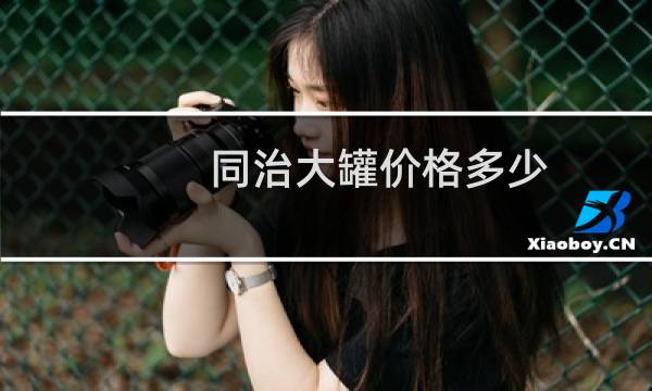 同治大罐价格多少