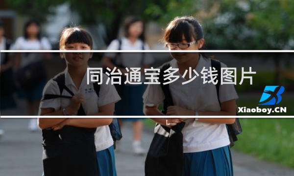 同治通宝多少钱图片