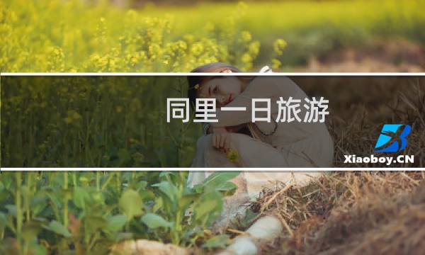 同里一日旅游