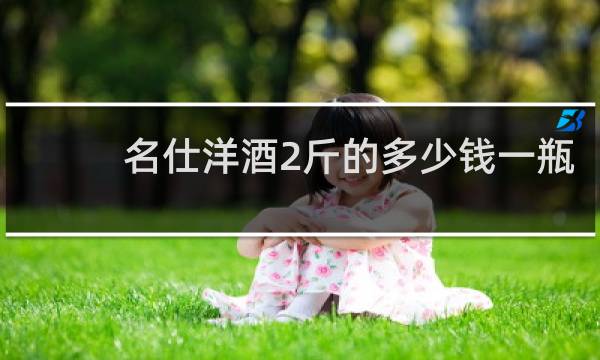 名仕洋酒2斤的多少钱一瓶