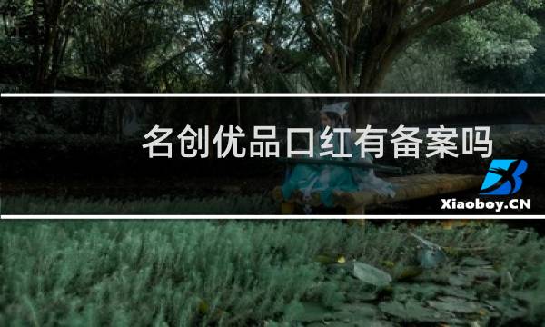 名创优品口红有备案吗