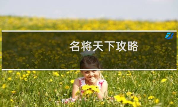 名将天下攻略