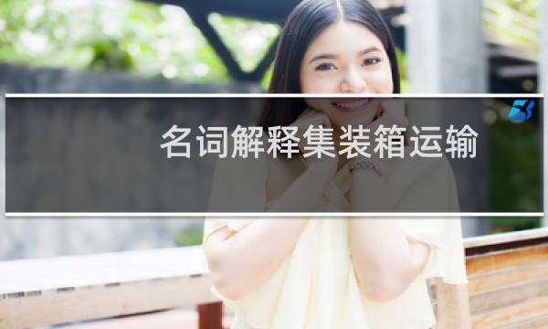 名词解释集装箱运输