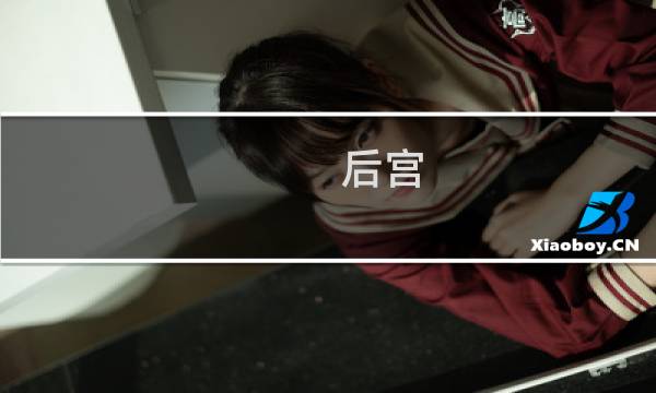 后宫 宛真传攻略
