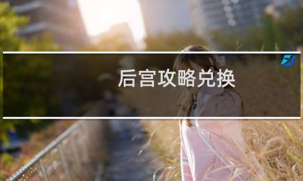 后宫攻略兑换