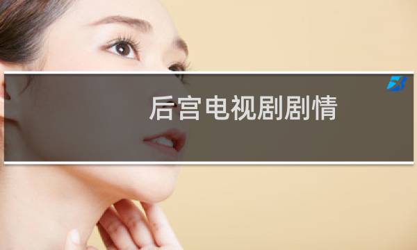 后宫电视剧剧情