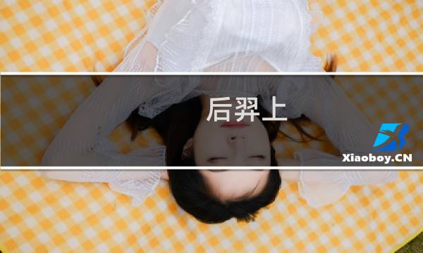 后羿上 攻略