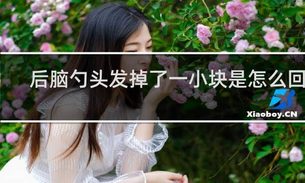 后脑勺头发掉了一小块是怎么回事