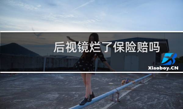 后视镜烂了保险赔吗