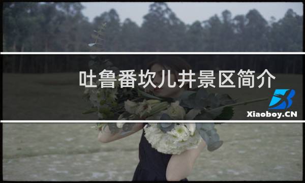 吐鲁番坎儿井景区简介