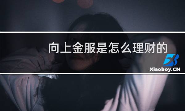 向上金服是怎么理财的