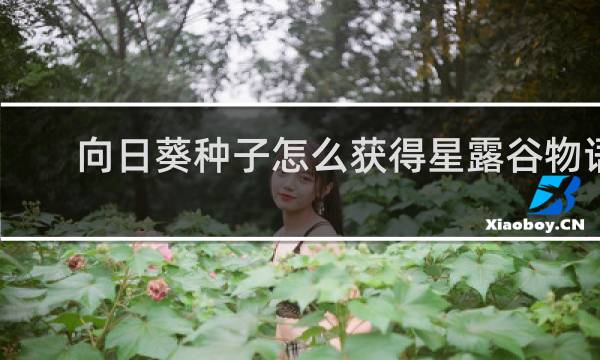向日葵种子怎么获得星露谷物语