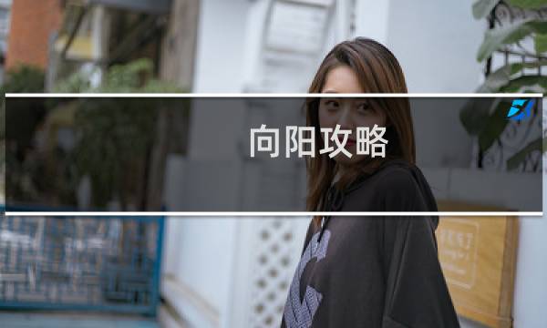 向阳攻略