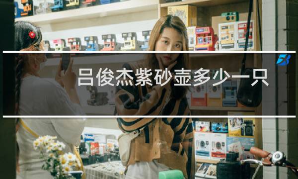 吕俊杰紫砂壶多少一只